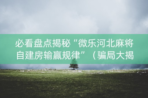 必看盘点揭秘“微乐河北麻将自建房输赢规律”（骗局大揭秘)