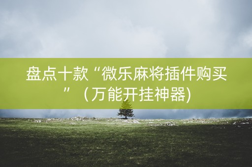 盘点十款“微乐麻将插件购买”（万能开挂神器)