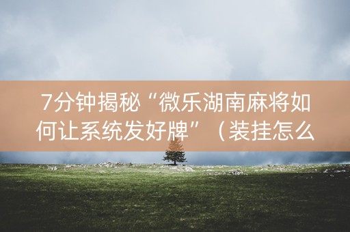 7分钟揭秘“微乐湖南麻将如何让系统发好牌”（装挂怎么安装)
