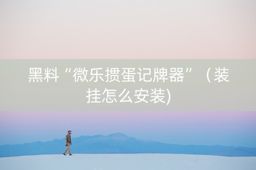 黑料“微乐掼蛋记牌器”（装挂怎么安装)