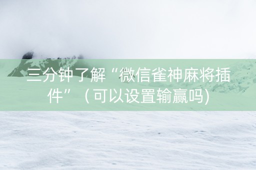 三分钟了解“微信雀神麻将插件”（可以设置输赢吗)