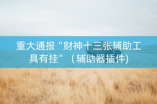重大通报“财神十三张辅助工具有挂”（辅助器插件)