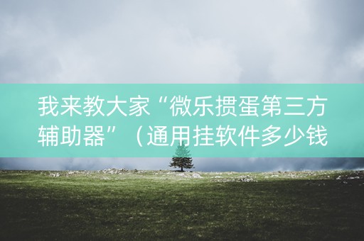我来教大家“微乐掼蛋第三方辅助器”（通用挂软件多少钱)