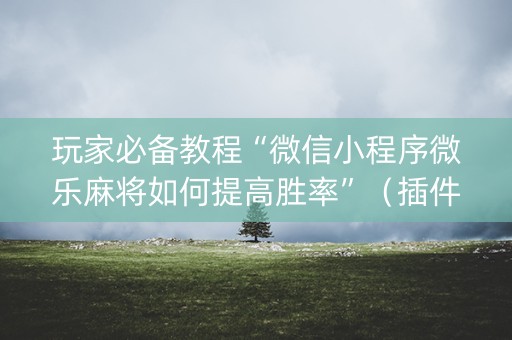 玩家必备教程“微信小程序微乐麻将如何提高胜率”（插件开挂免费AI)