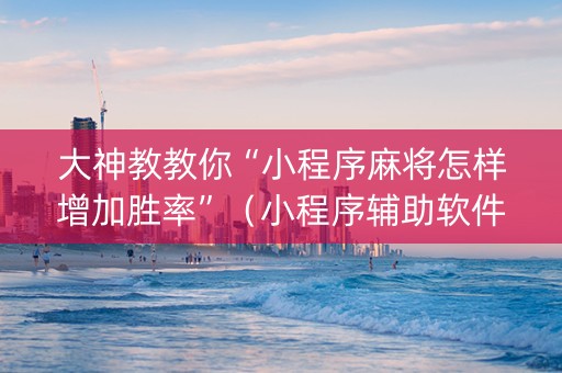 大神教教你“小程序麻将怎样增加胜率”（小程序辅助软件)