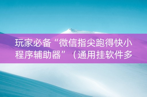 玩家必备“微信指尖跑得快小程序辅助器”（通用挂软件多少钱)