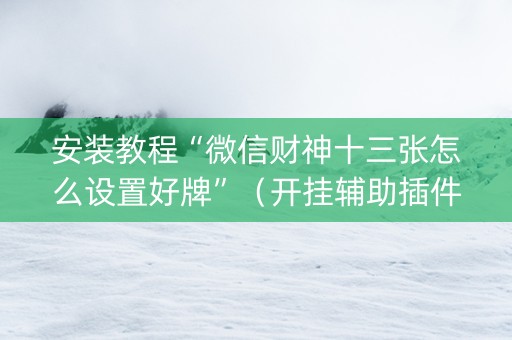 安装教程“微信财神十三张怎么设置好牌”（开挂辅助插件)
