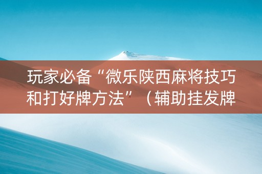 玩家必备“微乐陕西麻将技巧和打好牌方法”（辅助挂发牌规律)