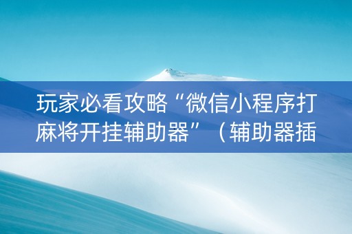玩家必看攻略“微信小程序打麻将开挂辅助器”（辅助器插件)