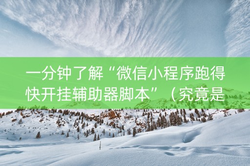 一分钟了解“微信小程序跑得快开挂辅助器脚本”（究竟是不是有挂)