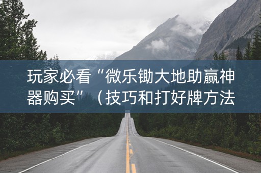 玩家必看“微乐锄大地助赢神器购买”（技巧和打好牌方法)