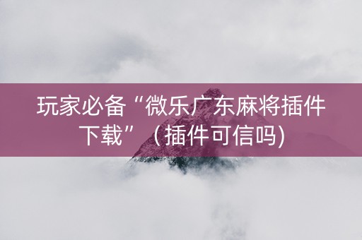 玩家必备“微乐广东麻将插件下载”（插件可信吗)