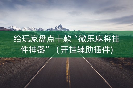 给玩家盘点十款“微乐麻将挂件神器”（开挂辅助插件)