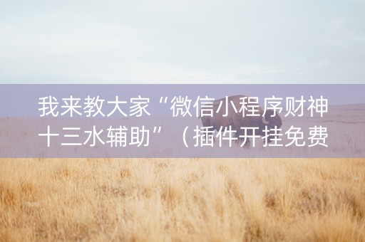 我来教大家“微信小程序财神十三水辅助”（插件开挂免费AI)