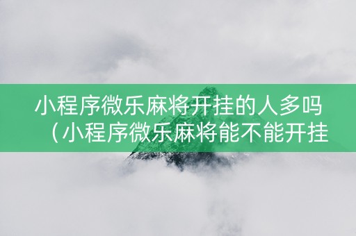 小程序微乐麻将开挂的人多吗（小程序微乐麻将能不能开挂）