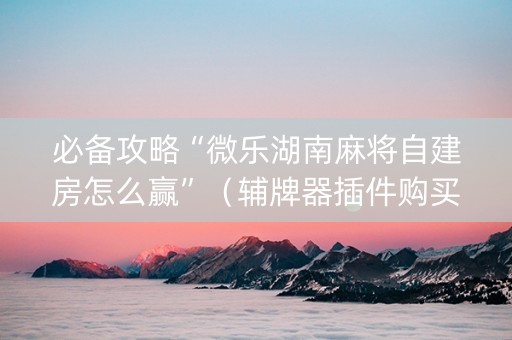 必备攻略“微乐湖南麻将自建房怎么赢”（辅牌器插件购买)