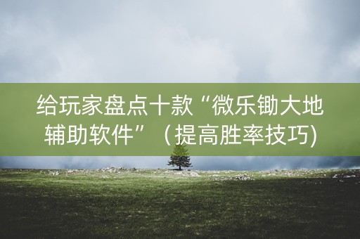 给玩家盘点十款“微乐锄大地辅助软件”（提高胜率技巧)