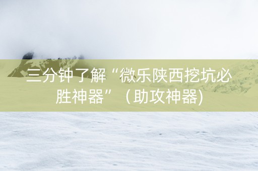三分钟了解“微乐陕西挖坑必胜神器”（助攻神器)