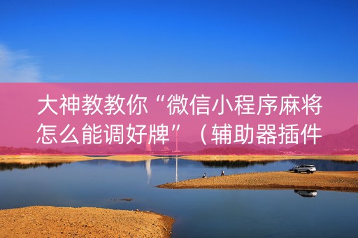 大神教教你“微信小程序麻将怎么能调好牌”（辅助器插件)