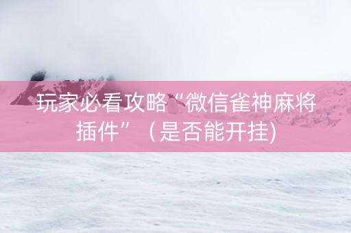 玩家必看攻略“微信雀神麻将插件”（是否能开挂)