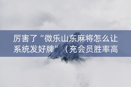厉害了“微乐山东麻将怎么让系统发好牌”（充会员胜率高)
