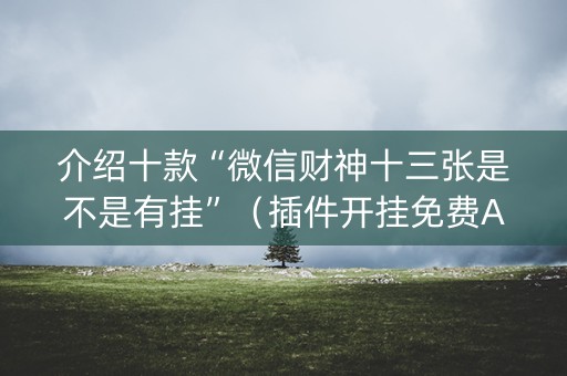 介绍十款“微信财神十三张是不是有挂”（插件开挂免费AI)