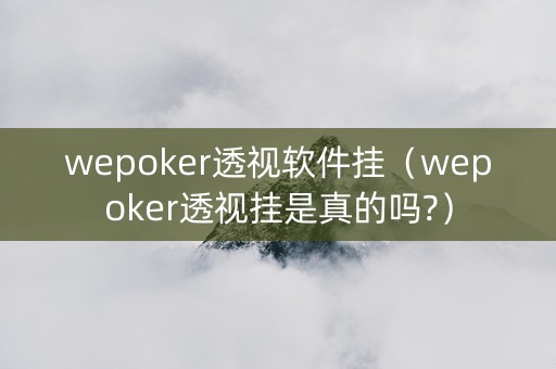 wepoker透视软件挂（wepoker透视挂是真的吗?）