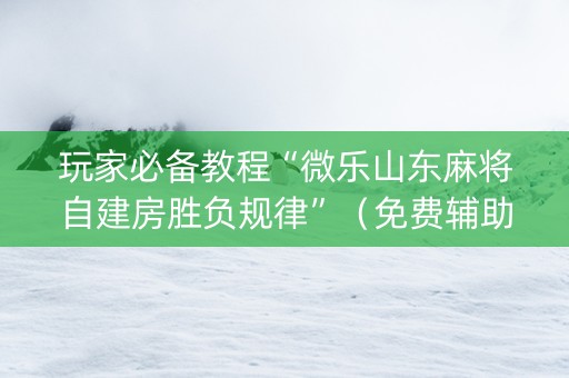 玩家必备教程“微乐山东麻将自建房胜负规律”（免费辅助)