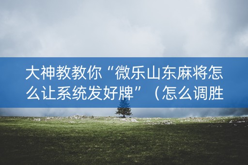 大神教教你“微乐山东麻将怎么让系统发好牌”（怎么调胜率)