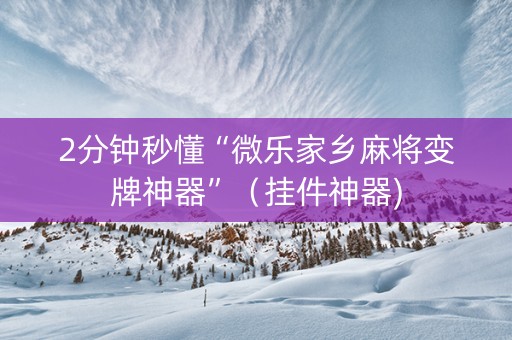 2分钟秒懂“微乐家乡麻将变牌神器”（挂件神器)