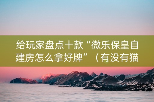 给玩家盘点十款“微乐保皇自建房怎么拿好牌”（有没有猫腻)