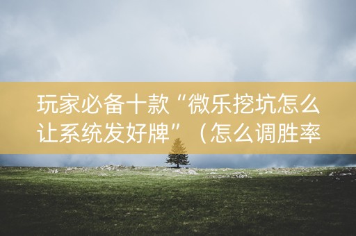 玩家必备十款“微乐挖坑怎么让系统发好牌”（怎么调胜率)