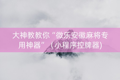 大神教教你“微乐安徽麻将专用神器”（小程序控牌器)