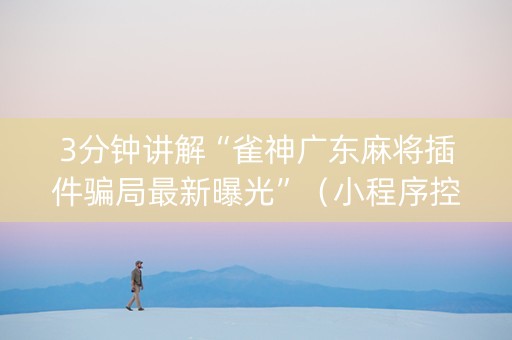 3分钟讲解“雀神广东麻将插件骗局最新曝光”（小程序控牌器)