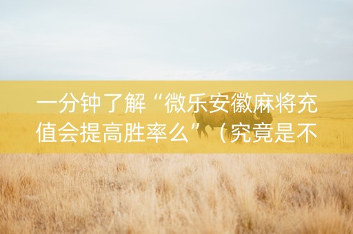 一分钟了解“微乐安徽麻将充值会提高胜率么”（究竟是不是有挂)