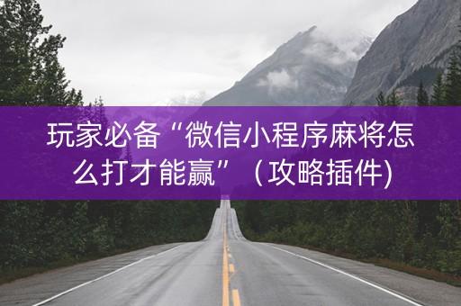 玩家必备“微信小程序麻将怎么打才能赢”（攻略插件)