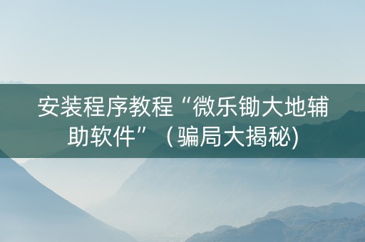 安装程序教程“微乐锄大地辅助软件”（骗局大揭秘)