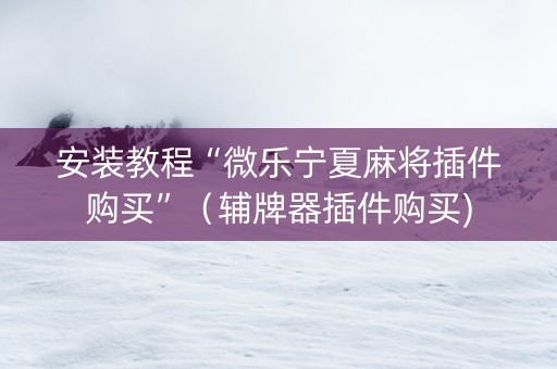 安装教程“微乐宁夏麻将插件购买”（辅牌器插件购买)
