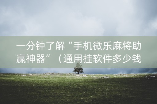 一分钟了解“手机微乐麻将助赢神器”（通用挂软件多少钱)