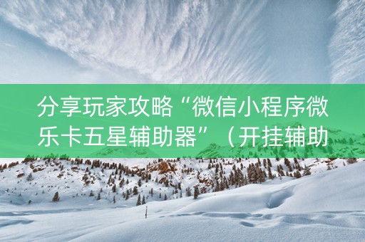 分享玩家攻略“微信小程序微乐卡五星辅助器”（开挂辅助脚本)