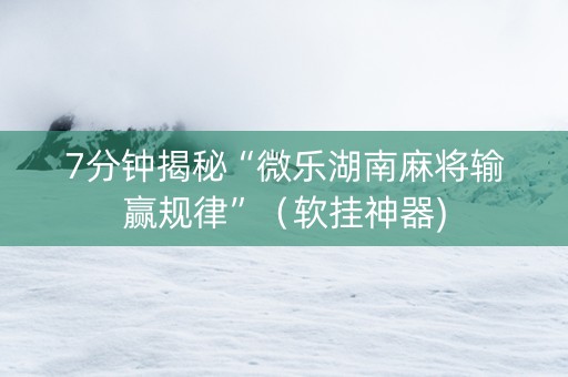 7分钟揭秘“微乐湖南麻将输赢规律”（软挂神器)