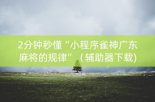 2分钟秒懂“小程序雀神广东麻将的规律”（辅助器下载)