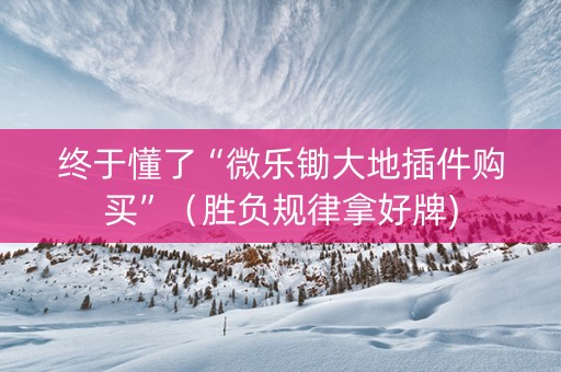 终于懂了“微乐锄大地插件购买”（胜负规律拿好牌)