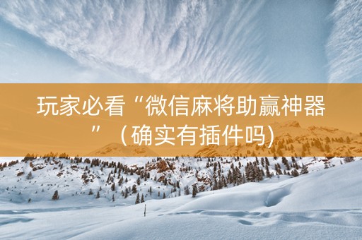 玩家必看“微信麻将助赢神器”（确实有插件吗)
