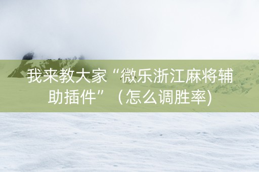 我来教大家“微乐浙江麻将辅助插件”（怎么调胜率)