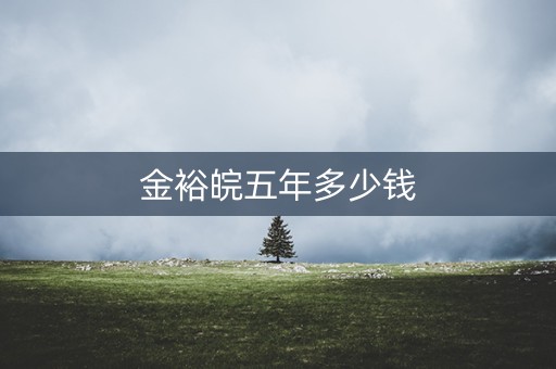 金裕皖五年多少钱