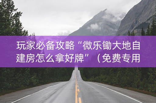 玩家必备攻略“微乐锄大地自建房怎么拿好牌”（免费专用神器)
