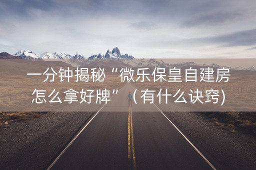 一分钟揭秘“微乐保皇自建房怎么拿好牌”（有什么诀窍)