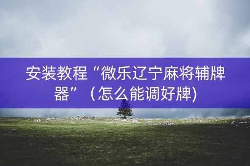 安装教程“微乐辽宁麻将辅牌器”（怎么能调好牌)