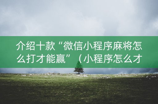 介绍十款“微信小程序麻将怎么打才能赢”（小程序怎么才会赢)